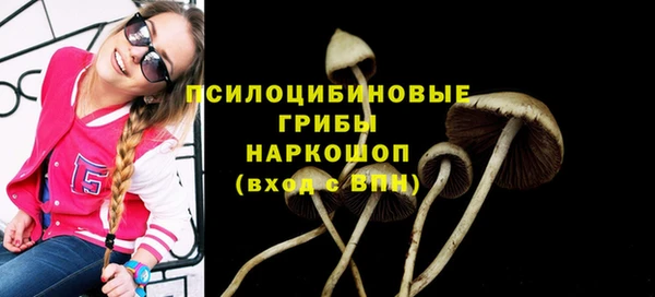 прущий лед Алзамай