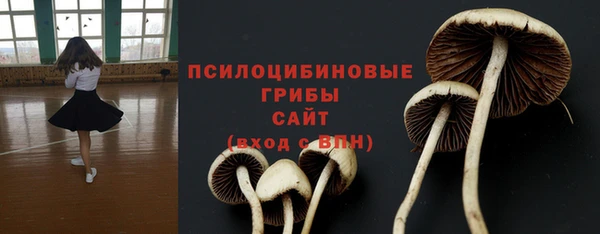 синтетический гашиш Алексин