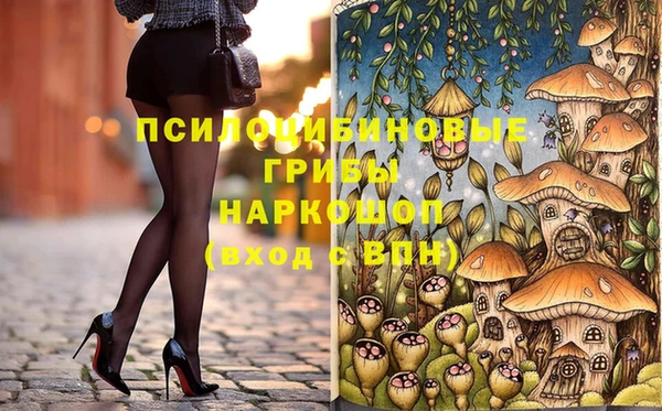 прущий лед Алзамай
