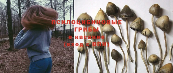 синтетический гашиш Алексин