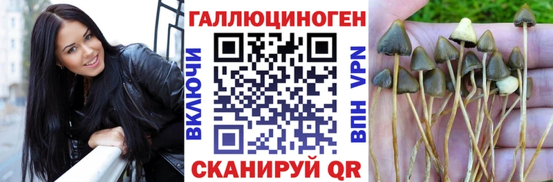 Галлюциногенные грибы Psilocybine cubensis Крым